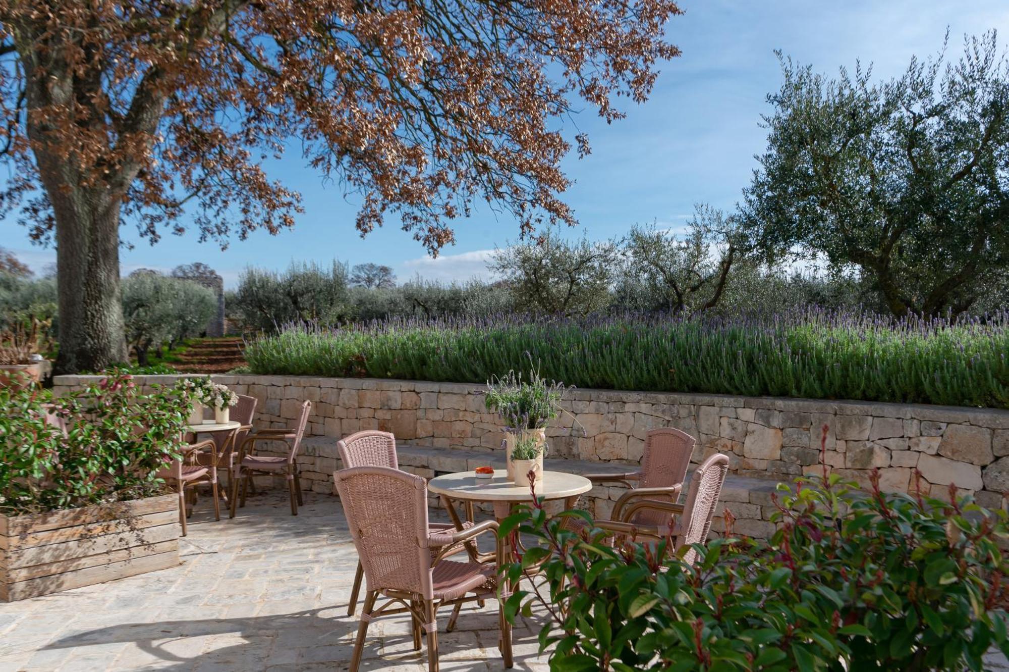 Agriturismo Masseria Aprile Locorotondo Dış mekan fotoğraf