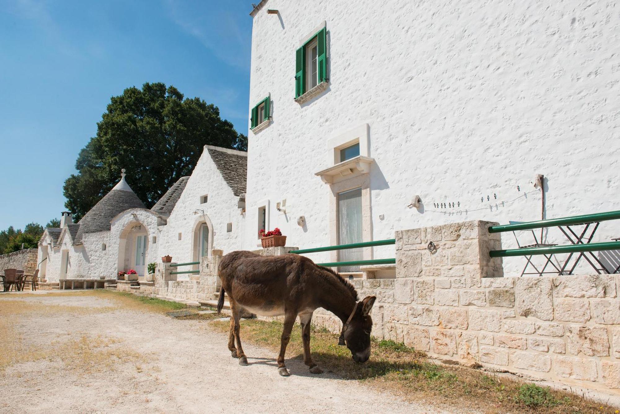 Agriturismo Masseria Aprile Locorotondo Dış mekan fotoğraf